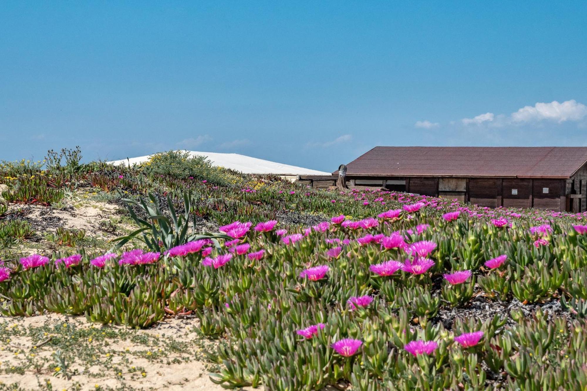 Precioso Chalet A Pie De Playa ปุนตาอุมเบรีย ภายนอก รูปภาพ