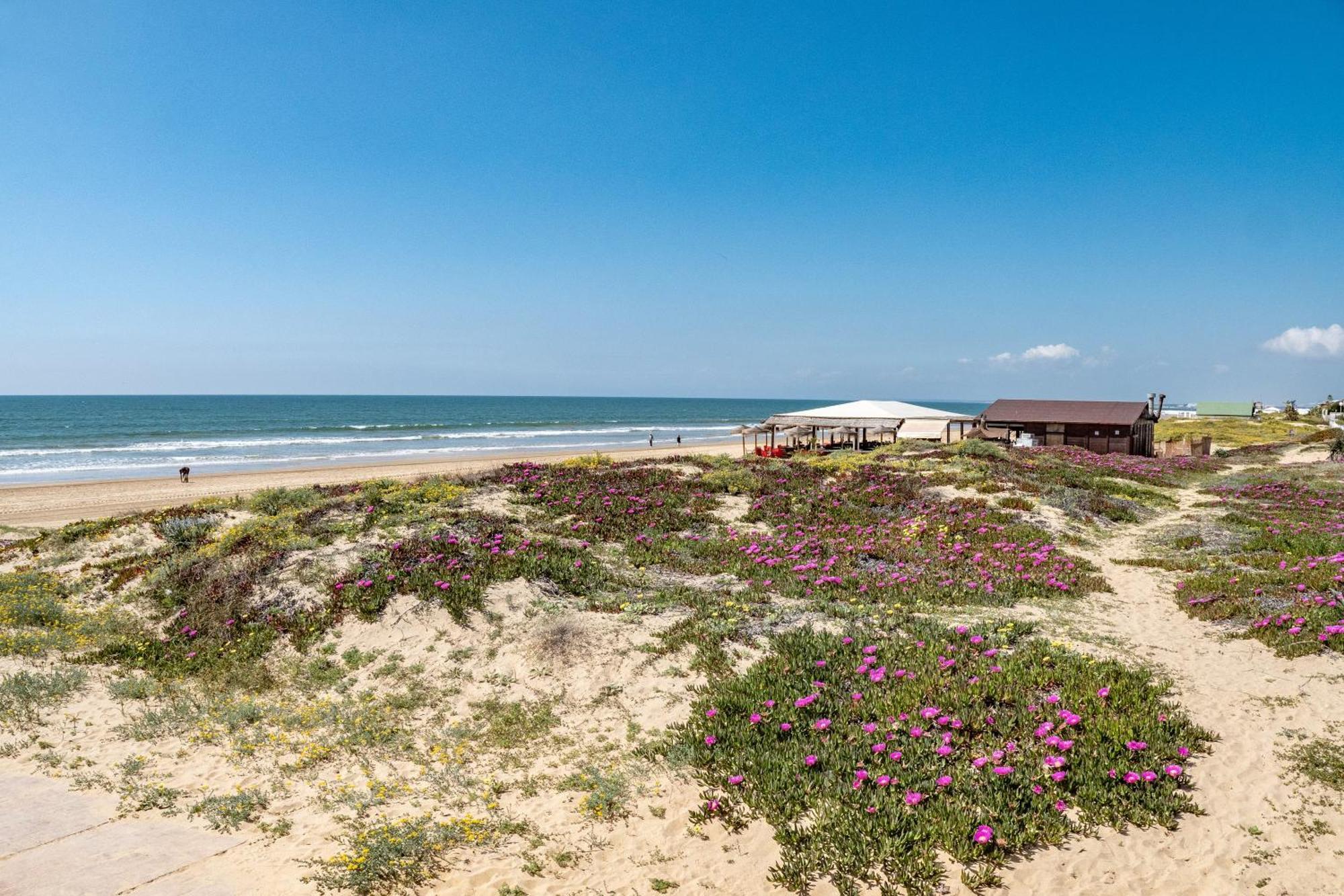 Precioso Chalet A Pie De Playa ปุนตาอุมเบรีย ภายนอก รูปภาพ